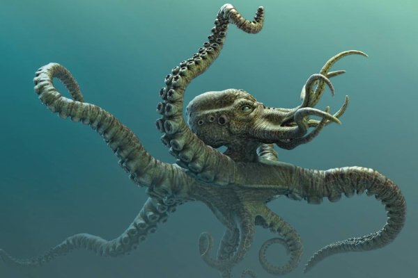 Kraken onion darknet zerkalo